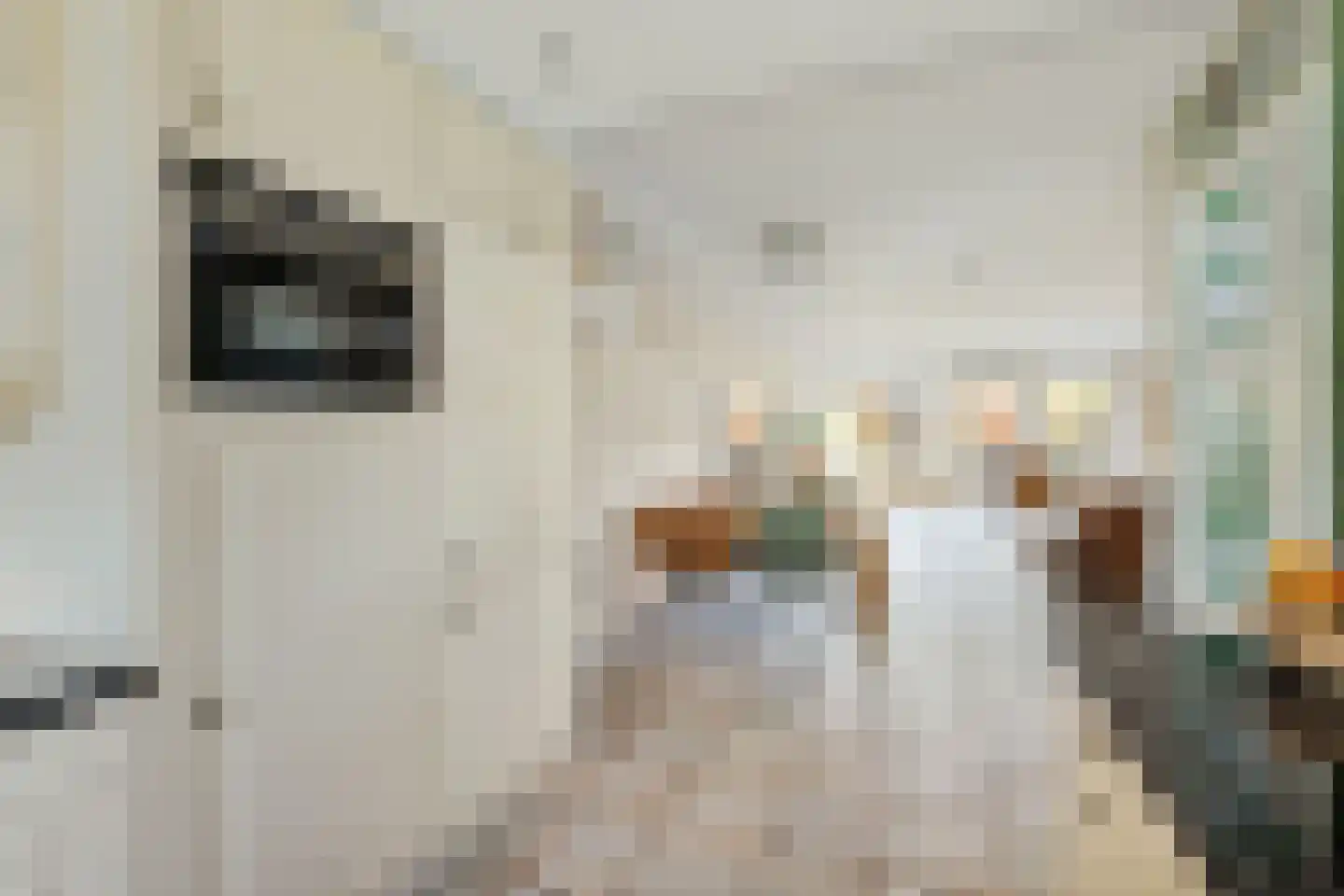 Lodewijk van Deysselhove 12 Nieuwegein thumbnail 14