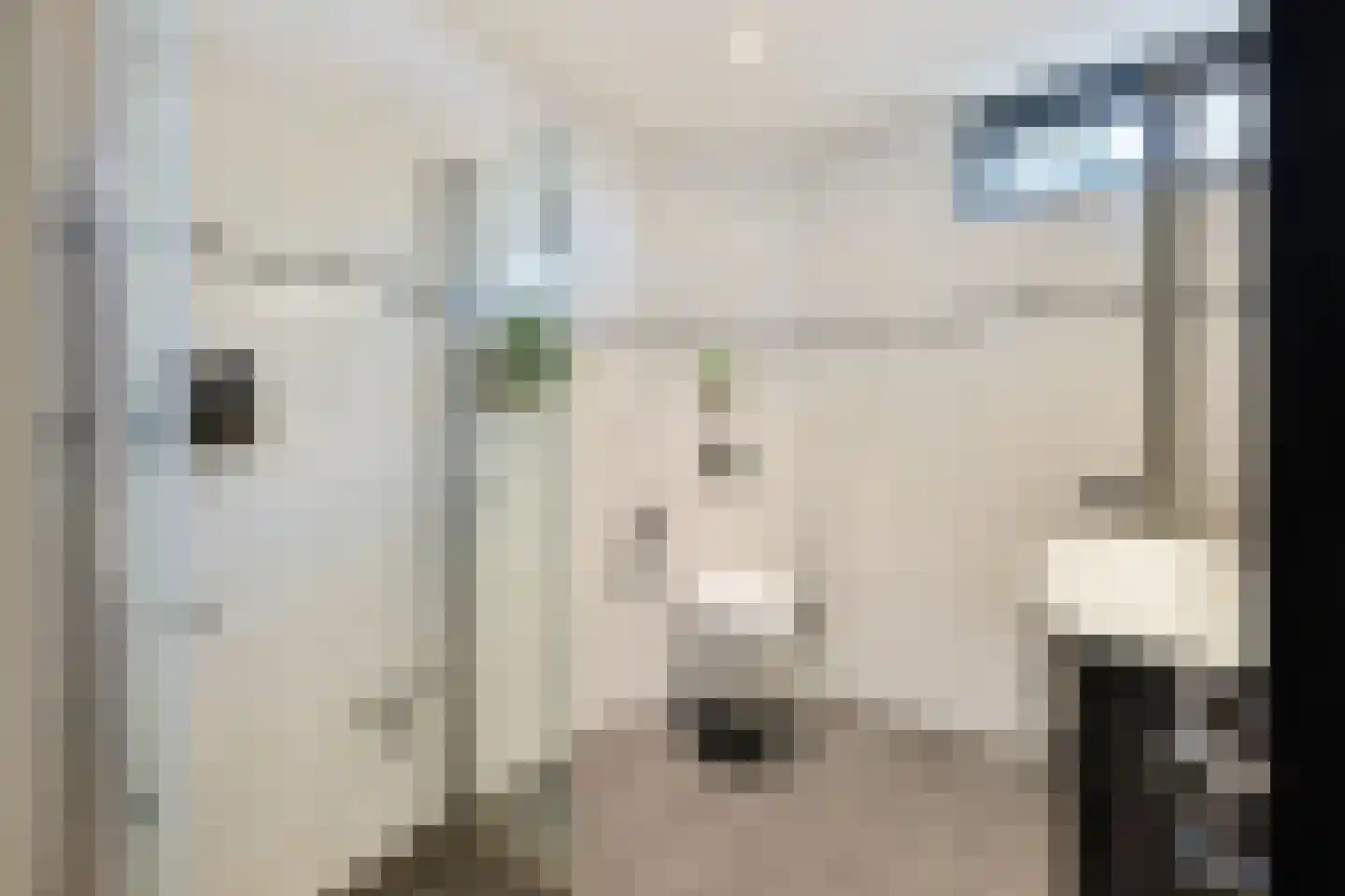 Lodewijk van Deysselhove 12 Nieuwegein thumbnail 24