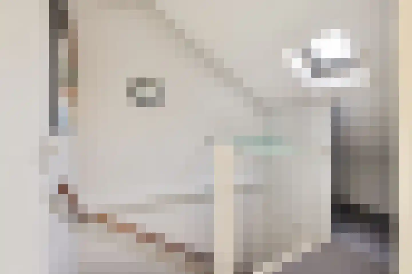 Lodewijk van Deysselhove 12 Nieuwegein thumbnail 30