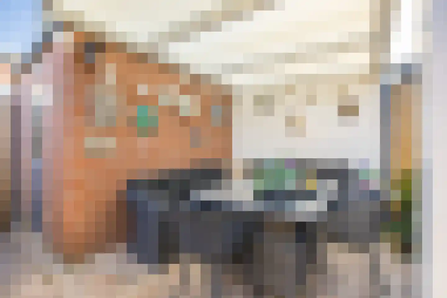 Lodewijk van Deysselhove 12 Nieuwegein thumbnail 40