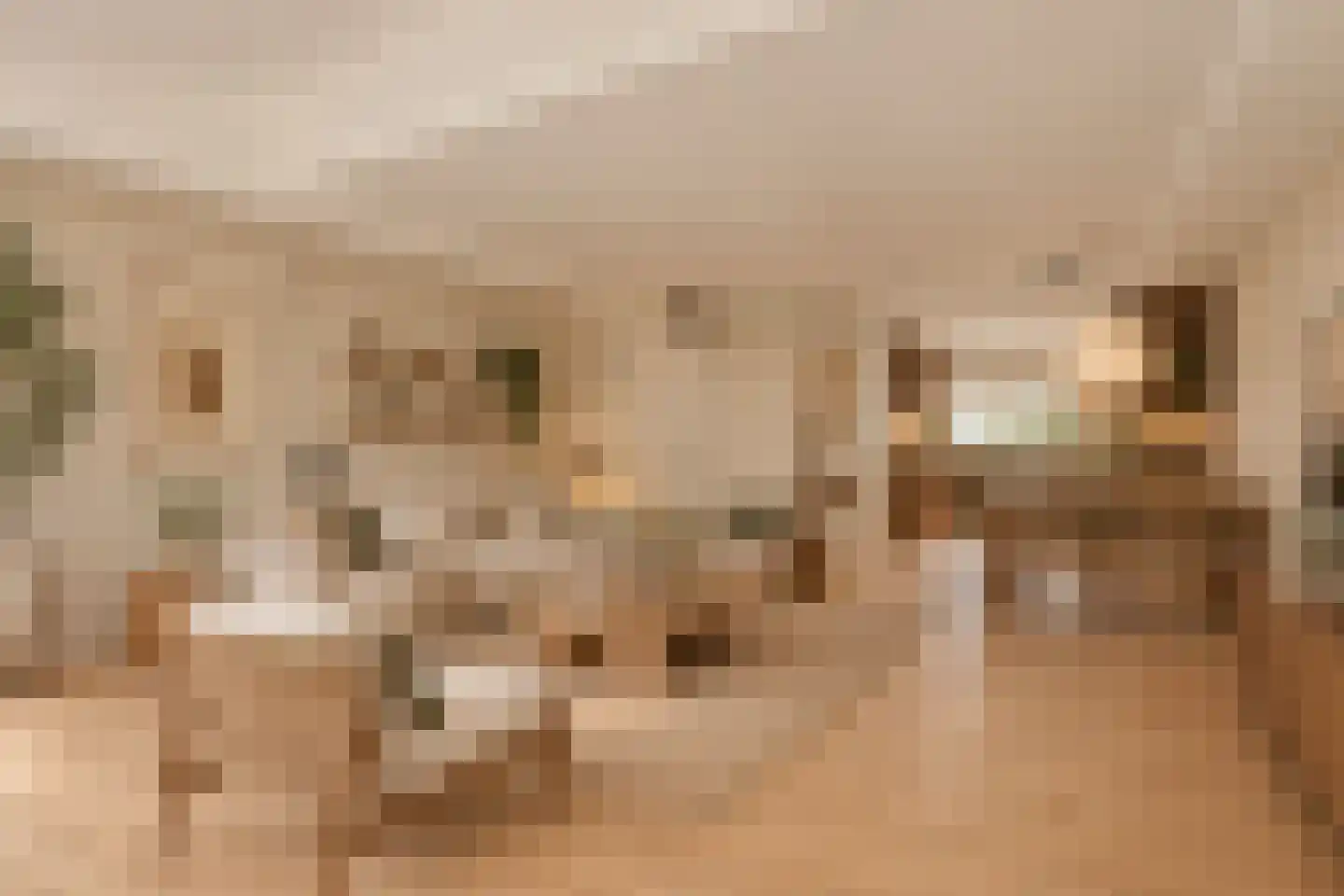 Lodewijk van Deysselhove 12 Nieuwegein thumbnail 7