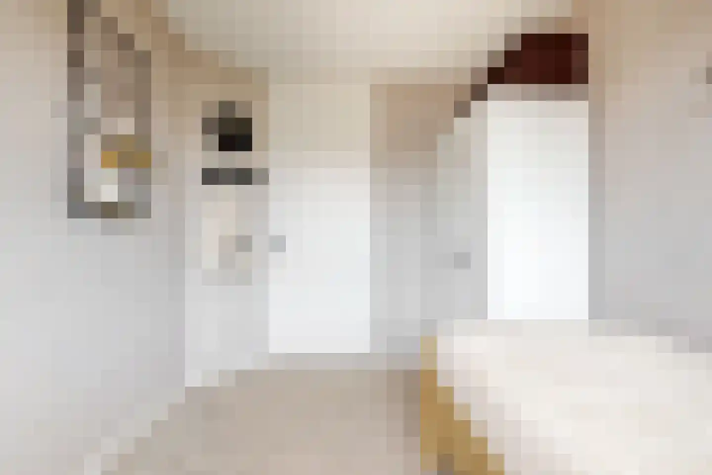 Lodewijk van Deysselhove 18 Nieuwegein thumbnail 29