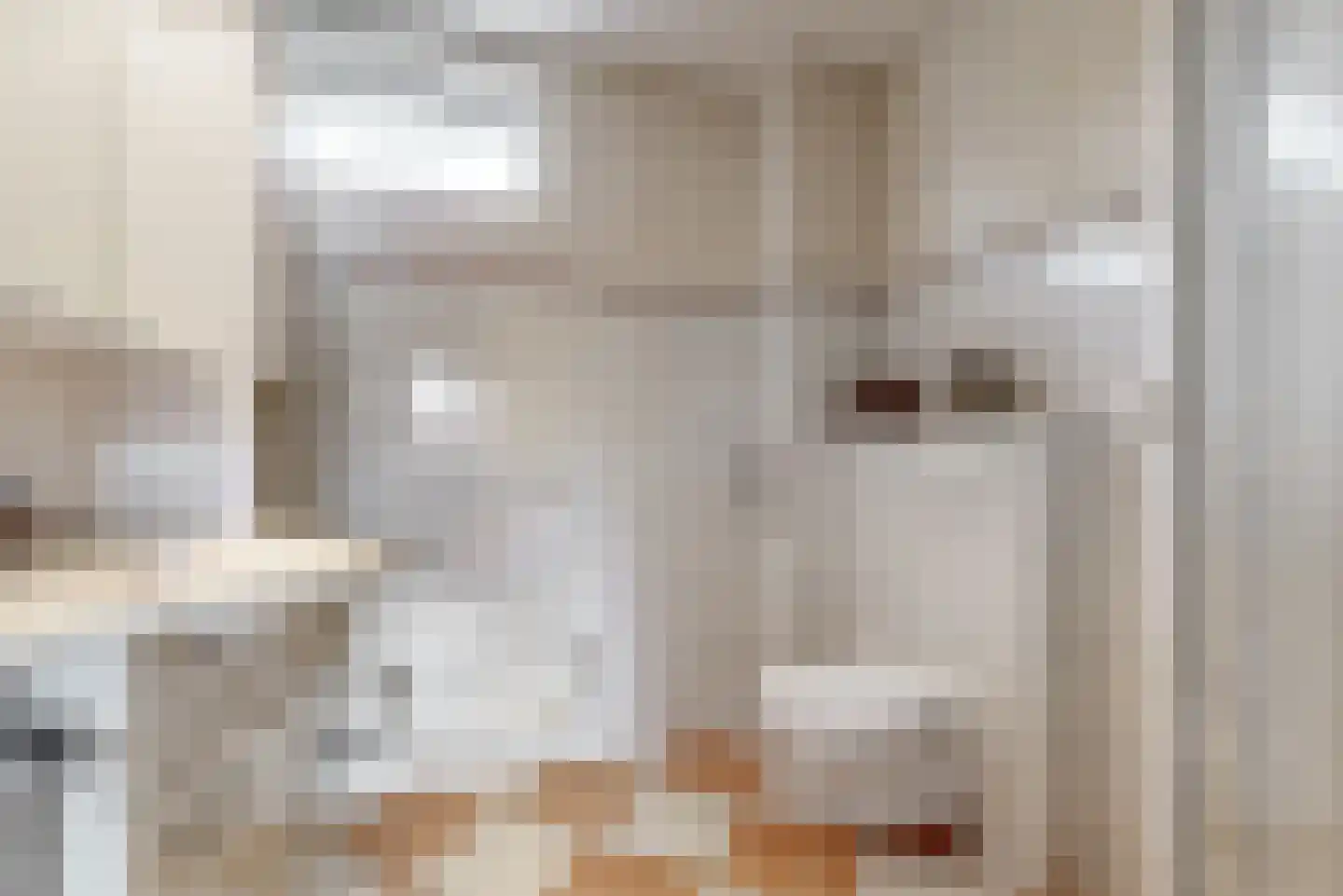 Lodewijk van Deysselhove 18 Nieuwegein thumbnail 30