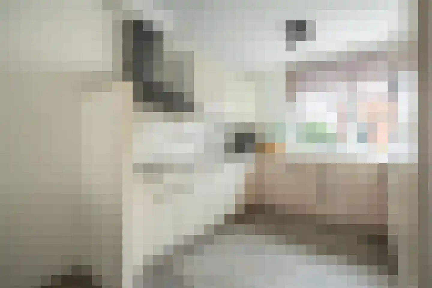 Lodewijk van Deysselhove 34 Nieuwegein thumbnail 13