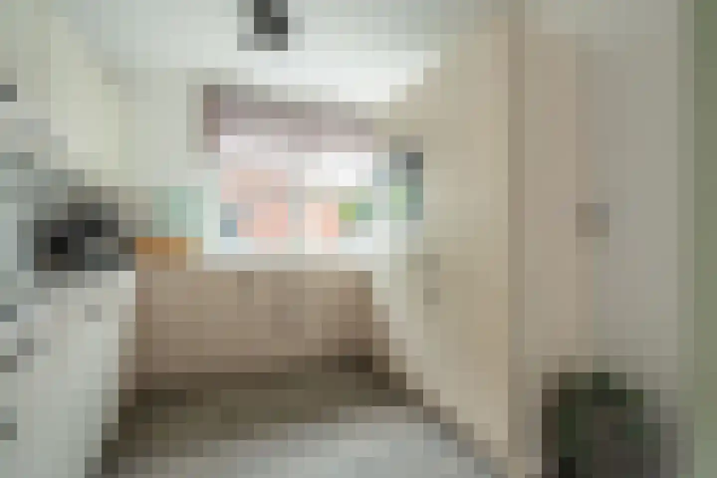 Lodewijk van Deysselhove 34 Nieuwegein thumbnail 14
