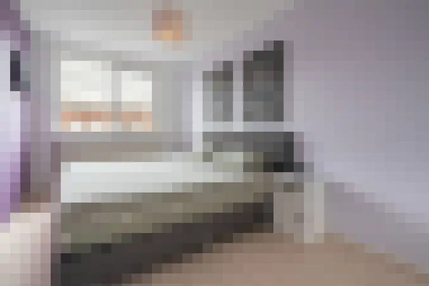 Lodewijk van Deysselhove 34 Nieuwegein thumbnail 18
