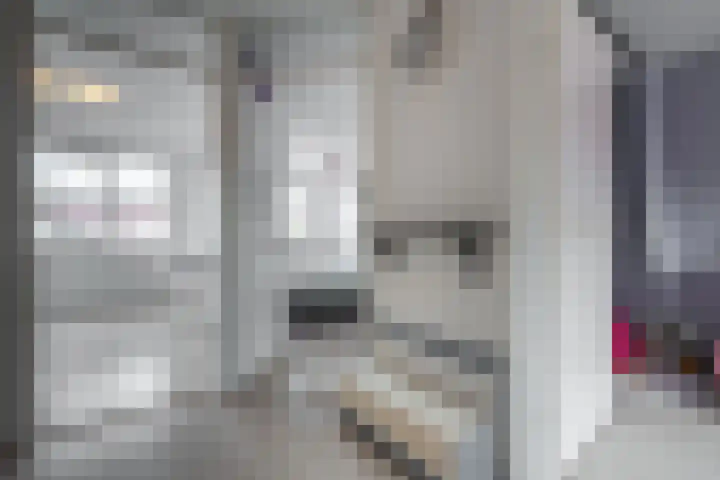 Lodewijk van Deysselhove 34 Nieuwegein thumbnail 22