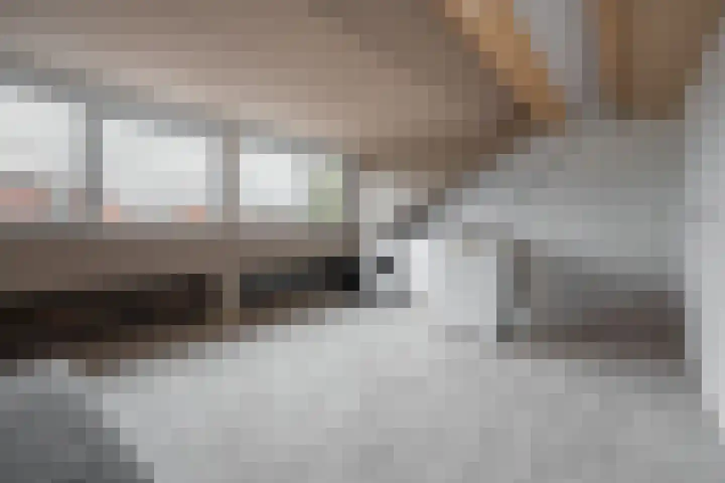 Lodewijk van Deysselhove 34 Nieuwegein thumbnail 23