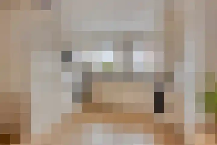 Lodewijk van Deyssellaan 15 Hillegom thumbnail 12