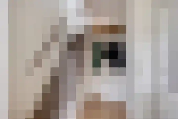 Lodewijk van Deyssellaan 15 Hillegom thumbnail 15