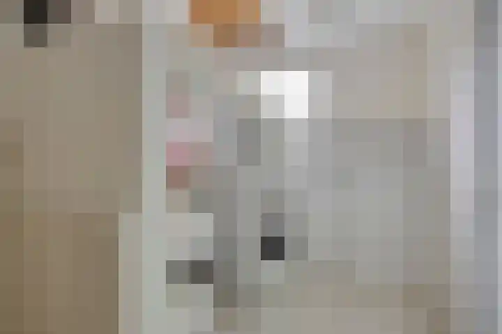 Lodewijk van Deyssellaan 15 Hillegom thumbnail 26