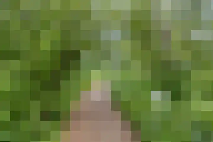 Lodewijk van Deyssellaan 15 Hillegom thumbnail 34