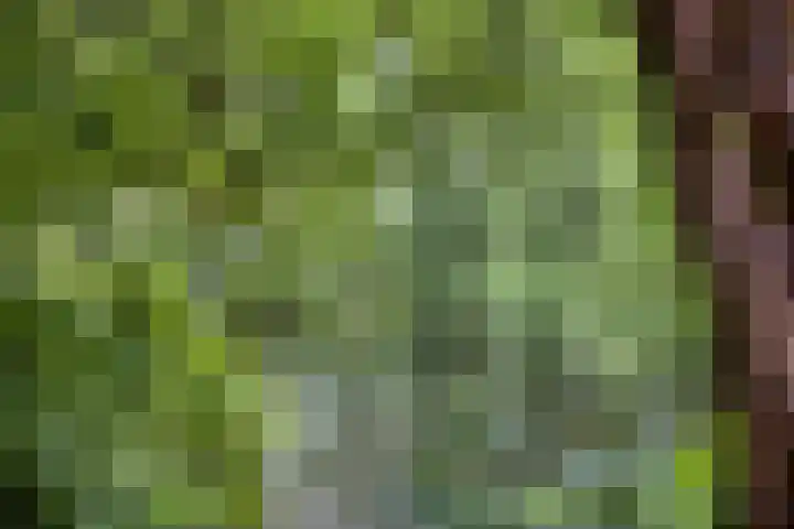 Lodewijk van Deyssellaan 15 Hillegom thumbnail 35