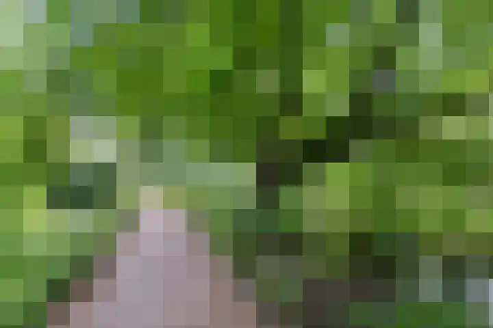 Lodewijk van Deyssellaan 15 Hillegom thumbnail 36