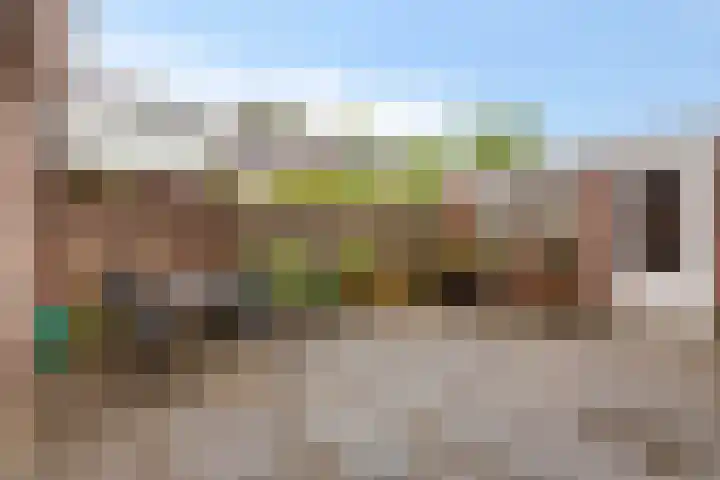 Lodewijk van Deyssellaan 15 Hillegom thumbnail 4