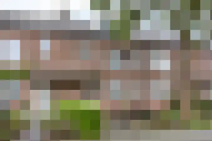 Lodewijk van Deyssellaan 15 Hillegom thumbnail 5