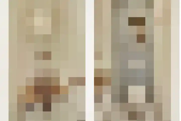 Lodewijk van Deyssellaan 17 Bladel thumbnail 10