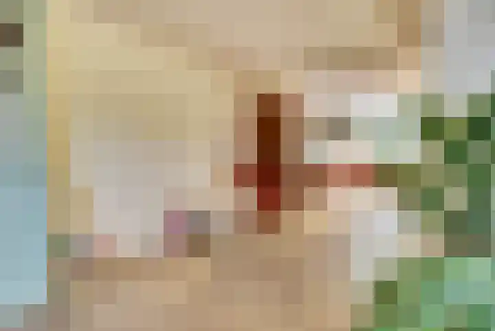 Lodewijk van Deyssellaan 17 Bladel thumbnail 11