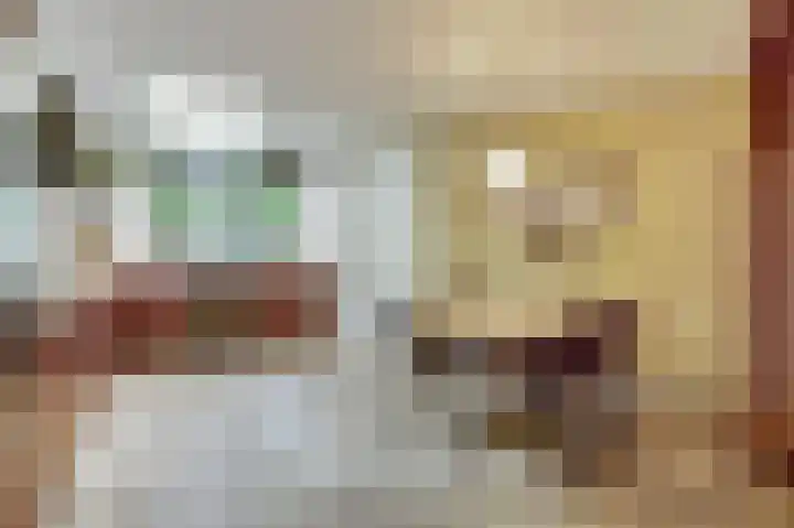 Lodewijk van Deyssellaan 17 Bladel thumbnail 14
