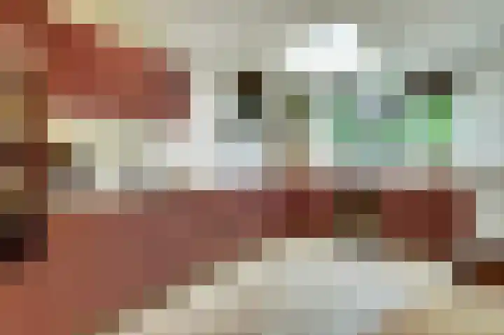 Lodewijk van Deyssellaan 17 Bladel thumbnail 15