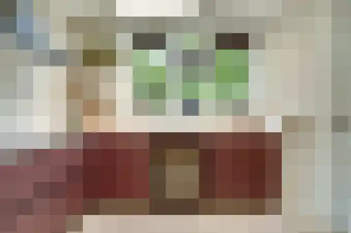 Lodewijk van Deyssellaan 17 Bladel thumbnail 16