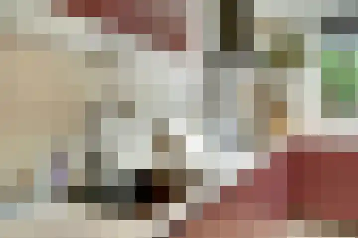 Lodewijk van Deyssellaan 17 Bladel thumbnail 18
