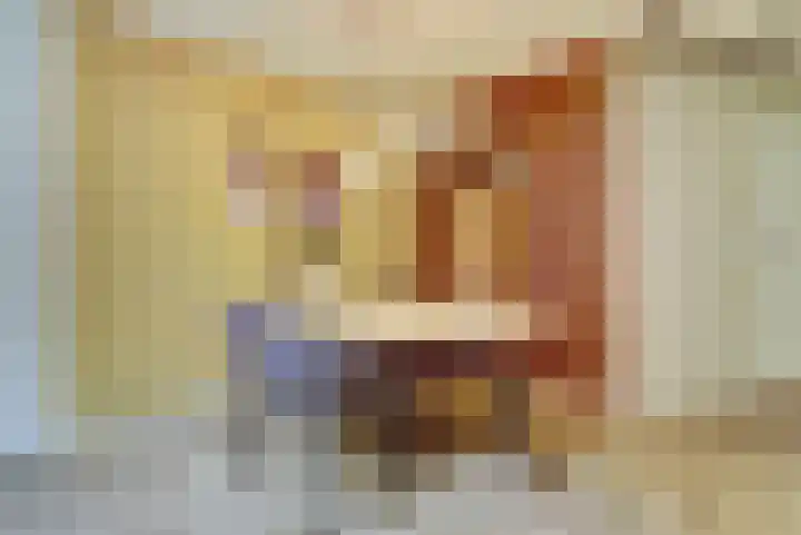 Lodewijk van Deyssellaan 17 Bladel thumbnail 19