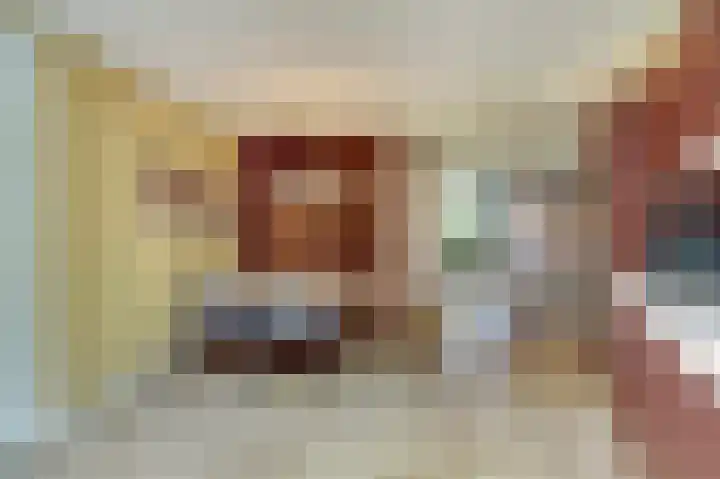 Lodewijk van Deyssellaan 17 Bladel thumbnail 20