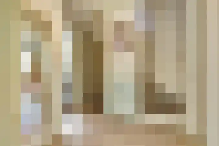 Lodewijk van Deyssellaan 17 Bladel thumbnail 22
