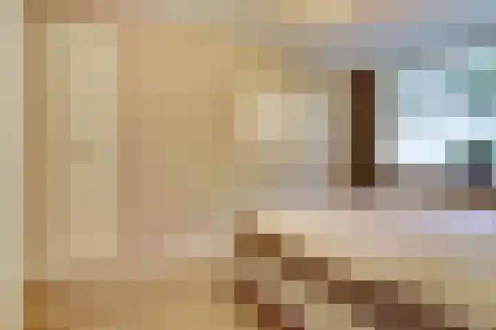 Lodewijk van Deyssellaan 17 Bladel thumbnail 24