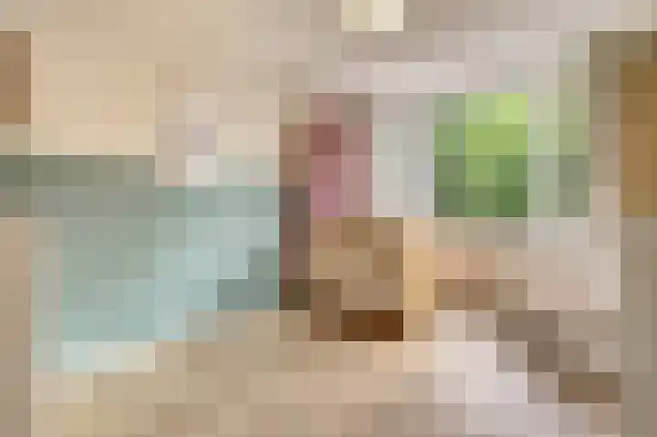 Lodewijk van Deyssellaan 17 Bladel thumbnail 25