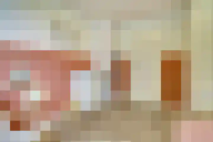 Lodewijk van Deyssellaan 17 Bladel thumbnail 28