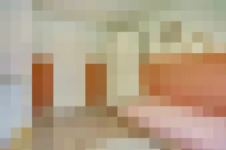 Lodewijk van Deyssellaan 17 Bladel thumbnail 29