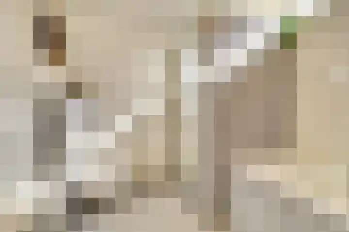 Lodewijk van Deyssellaan 17 Bladel thumbnail 31