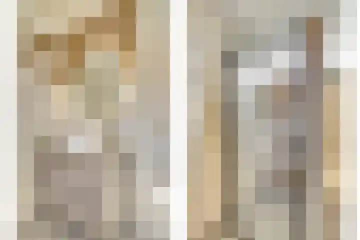 Lodewijk van Deyssellaan 17 Bladel thumbnail 32