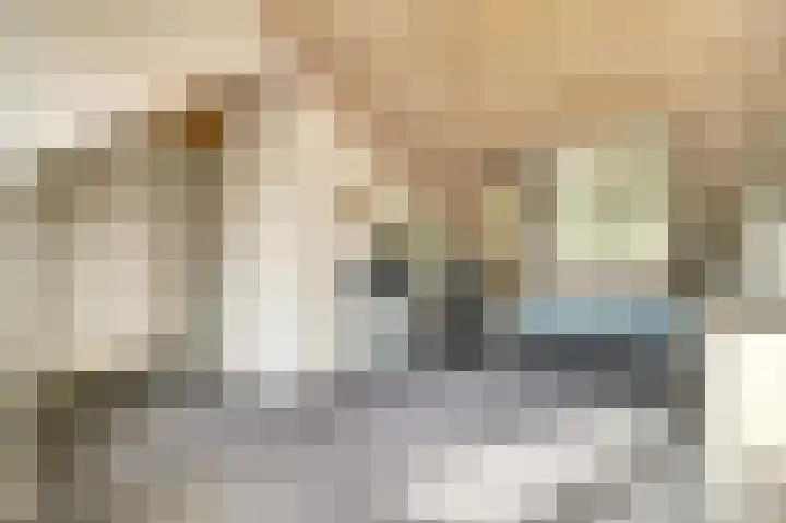 Lodewijk van Deyssellaan 17 Bladel thumbnail 35