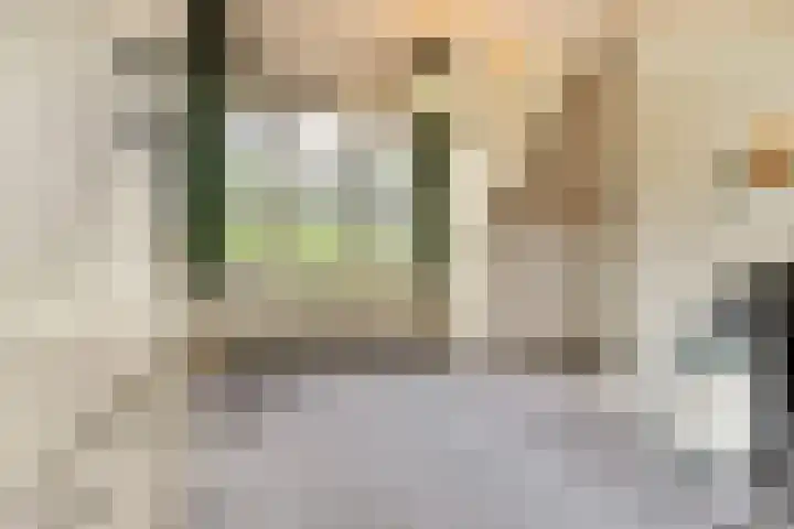 Lodewijk van Deyssellaan 17 Bladel thumbnail 36
