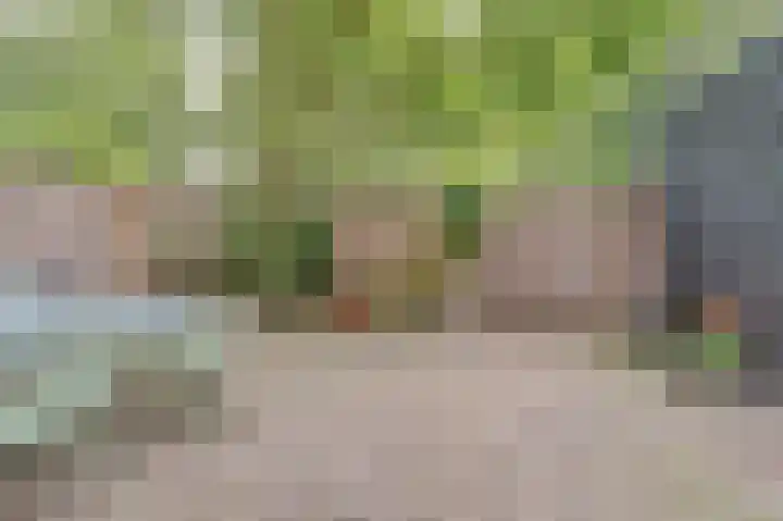 Lodewijk van Deyssellaan 17 Bladel thumbnail 37