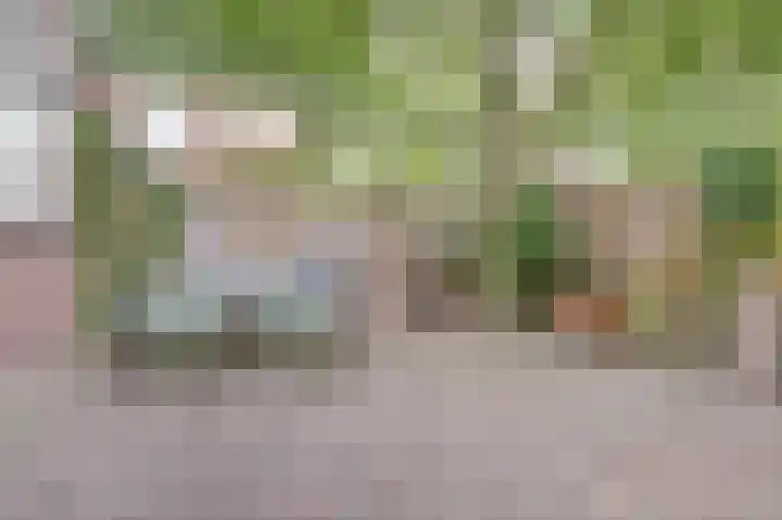 Lodewijk van Deyssellaan 17 Bladel thumbnail 38