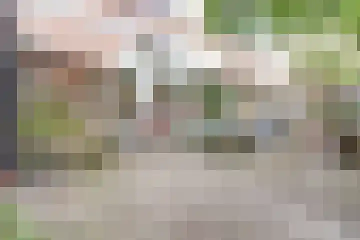 Lodewijk van Deyssellaan 17 Bladel thumbnail 39