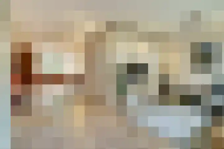 Lodewijk van Deyssellaan 17 Bladel thumbnail 4