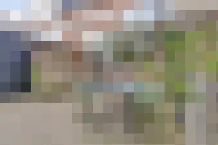 Lodewijk van Deyssellaan 17 Bladel thumbnail 40