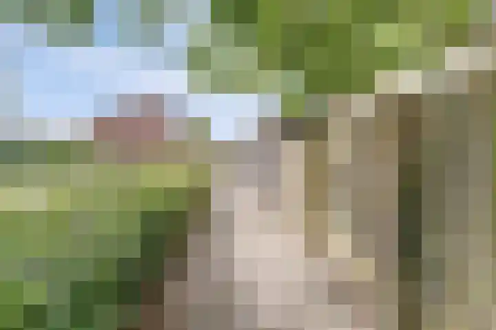 Lodewijk van Deyssellaan 17 Bladel thumbnail 42