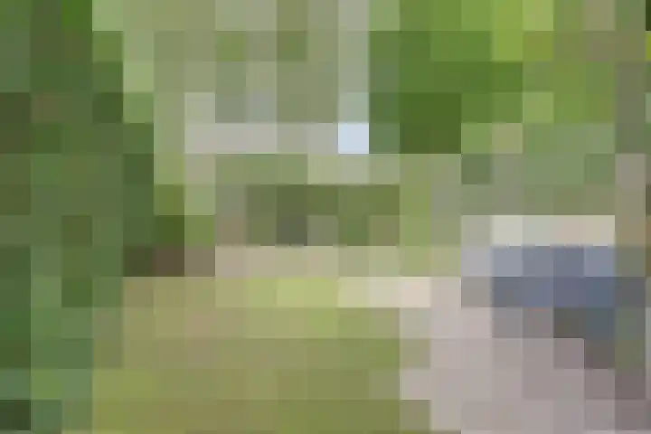 Lodewijk van Deyssellaan 17 Bladel thumbnail 45