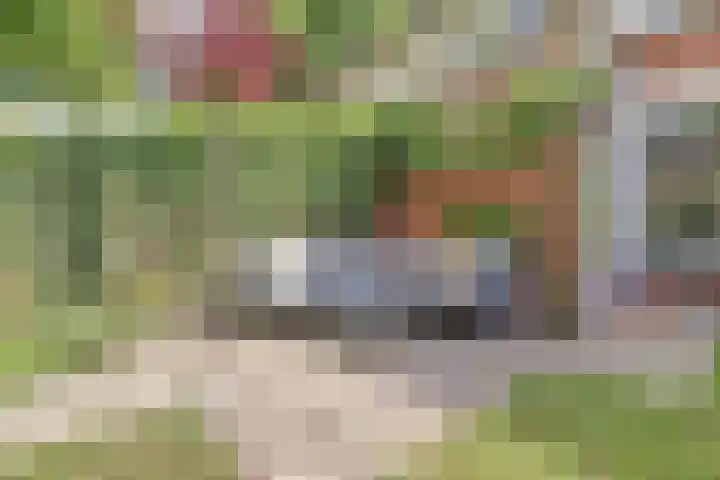 Lodewijk van Deyssellaan 17 Bladel thumbnail 46