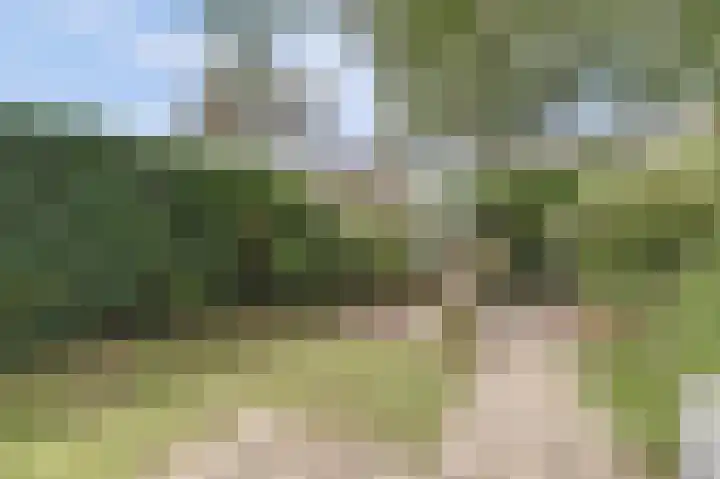 Lodewijk van Deyssellaan 17 Bladel thumbnail 47