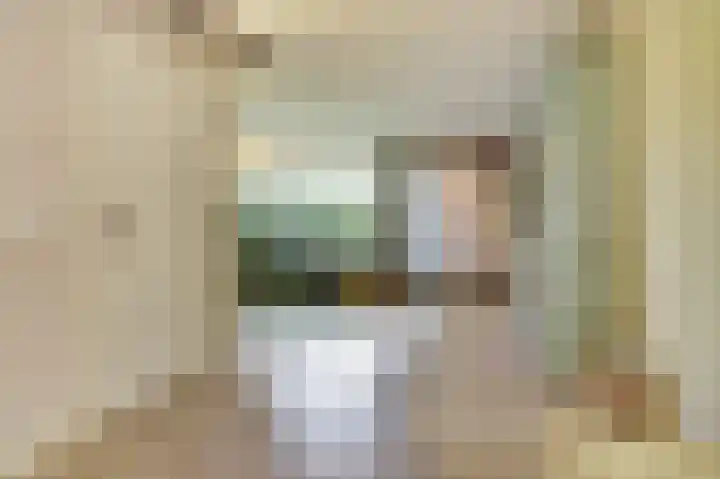 Lodewijk van Deyssellaan 17 Bladel thumbnail 5