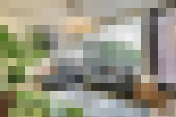 Lodewijk van Deyssellaan 17 Bladel thumbnail 7