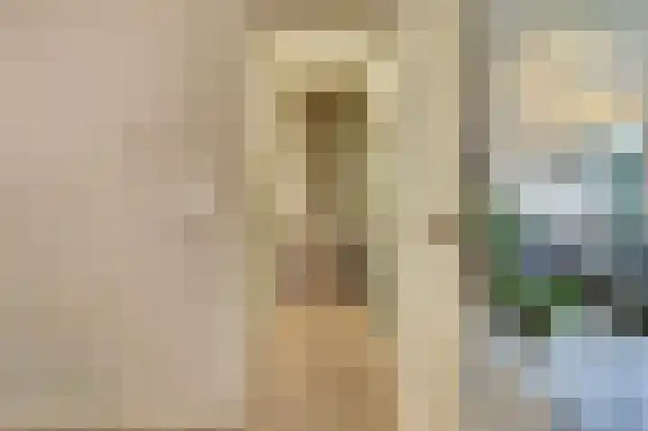 Lodewijk van Deyssellaan 17 Bladel thumbnail 9
