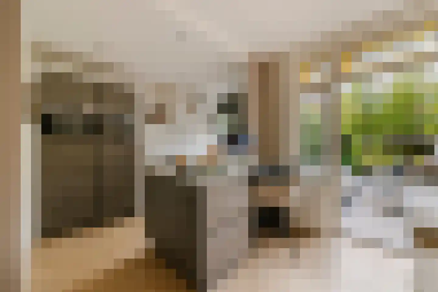 Lodewijk van Deyssellaan 196 Haarlem thumbnail 10